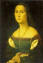 Contessa di Urbino